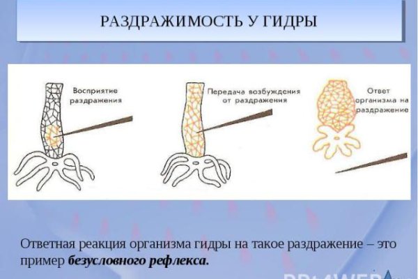 Как пополнить кошелек кракена