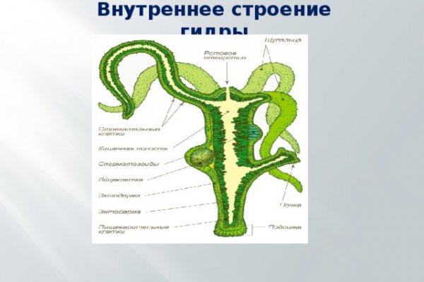 Ссылка кракен магазин