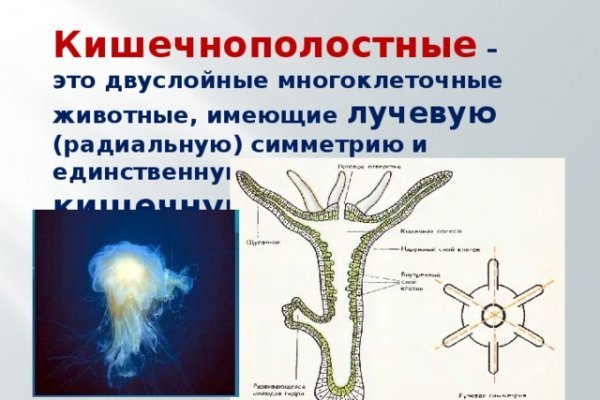 Вход в кракен даркнет